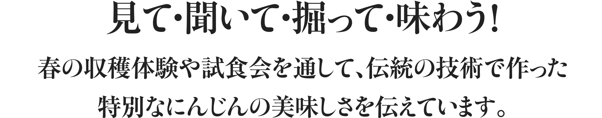 見て・聞いて・掘って・味わう!春の収穫体験や試食会を通して、伝統の技術で作った特別なにんじんの美味しさを伝えています。