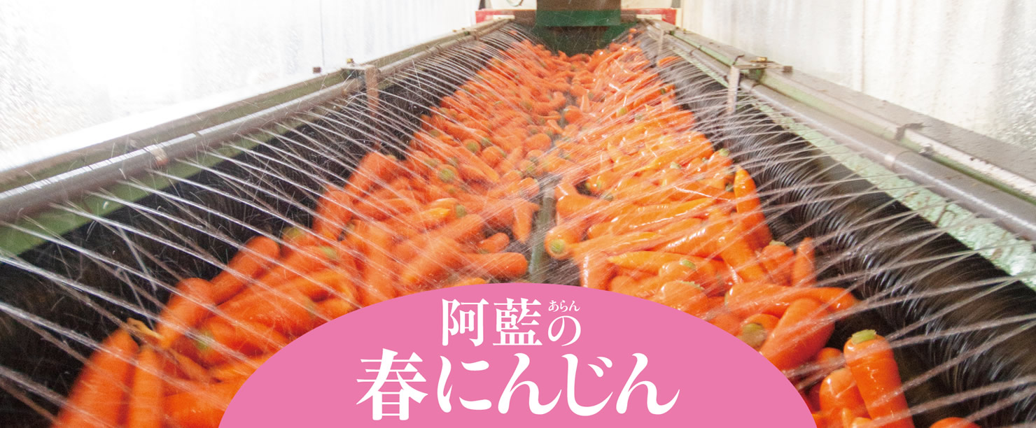 阿藍(あらん)の春にんじん