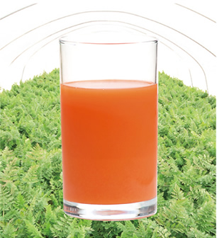 阿藍のにんじん生ジュース